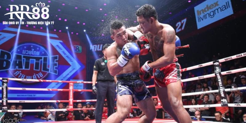 Chiến thuật đặt cược boxing hiệu quả